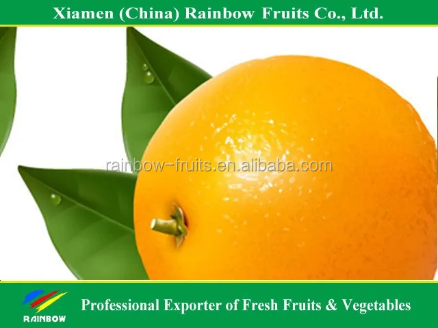 
Fresh Navel Orange Mandarin Fresh Orange Chinese Kino Pakistani Kino 