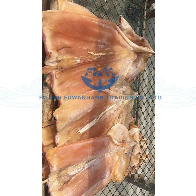 
Dried equator squid tube hot selling 