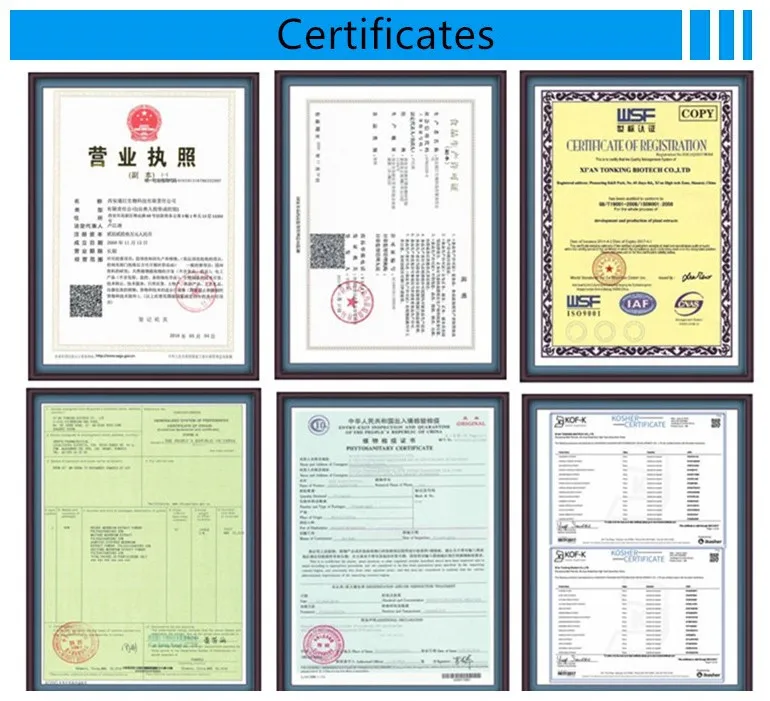 
Yucca Manufacturer Provide Yucca Plant Extract 