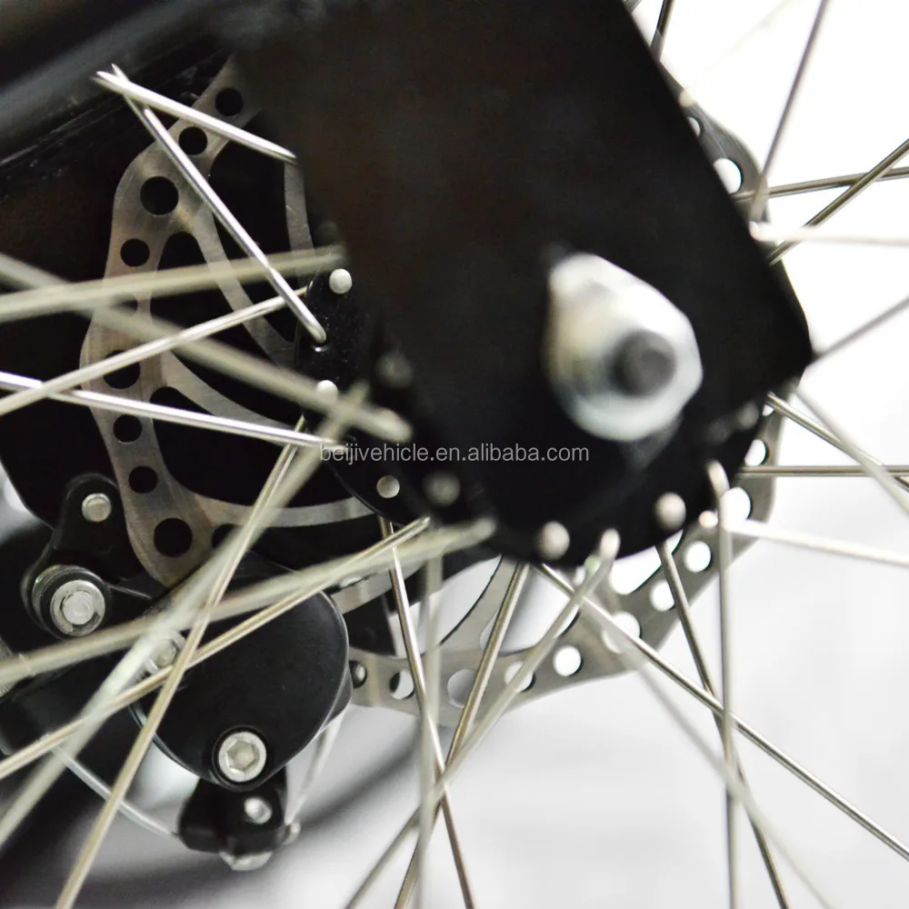 Holland family three-wheeler electric cargo bike price