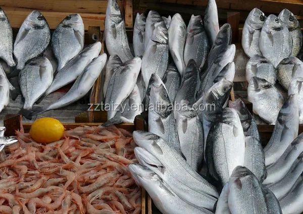high protein fish meal / fish feed machine processing line / fish pellet mill machine