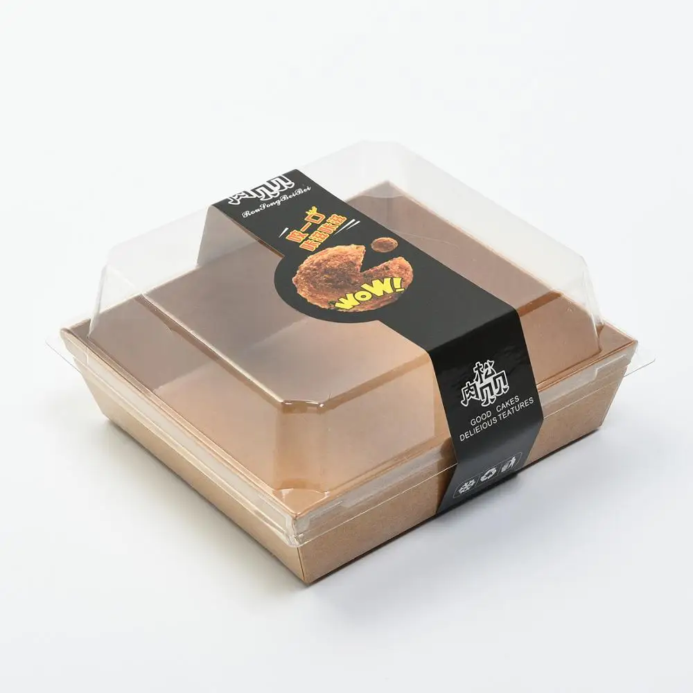 Wholesale Disposable Custom Printed Square Plastic Food Sushi Packaging Box with Plastic Lid