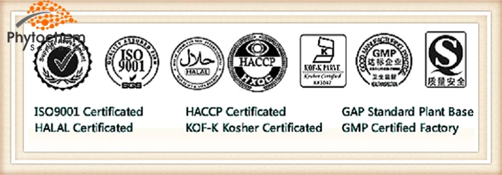 100% natural nattokinase extract powder Bacillus subtilis natto in herbal extract