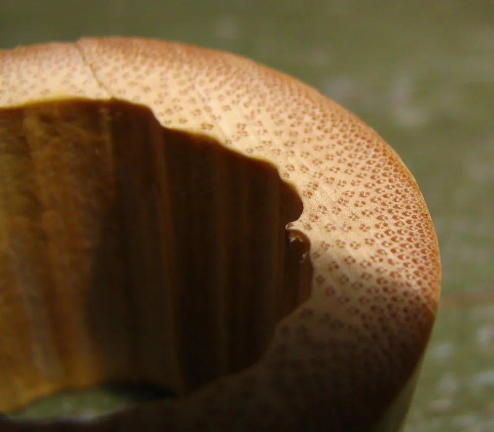 Moso Bamboo Poles/ Bamboo Canes/ Bamboo Sticks for Sale