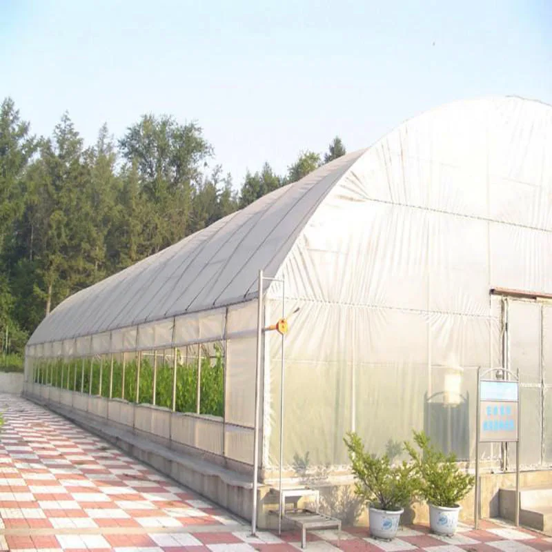 China Brand Factory Price UV Treated Agricultural Plastic Film Tunnel Greenhouse With 150/200 micron film