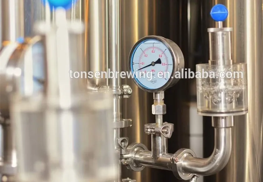 10T Fermenter Fermentation tank Beer bar Restaurant Mini brewery Home brewery Fermenter Fermentation tank