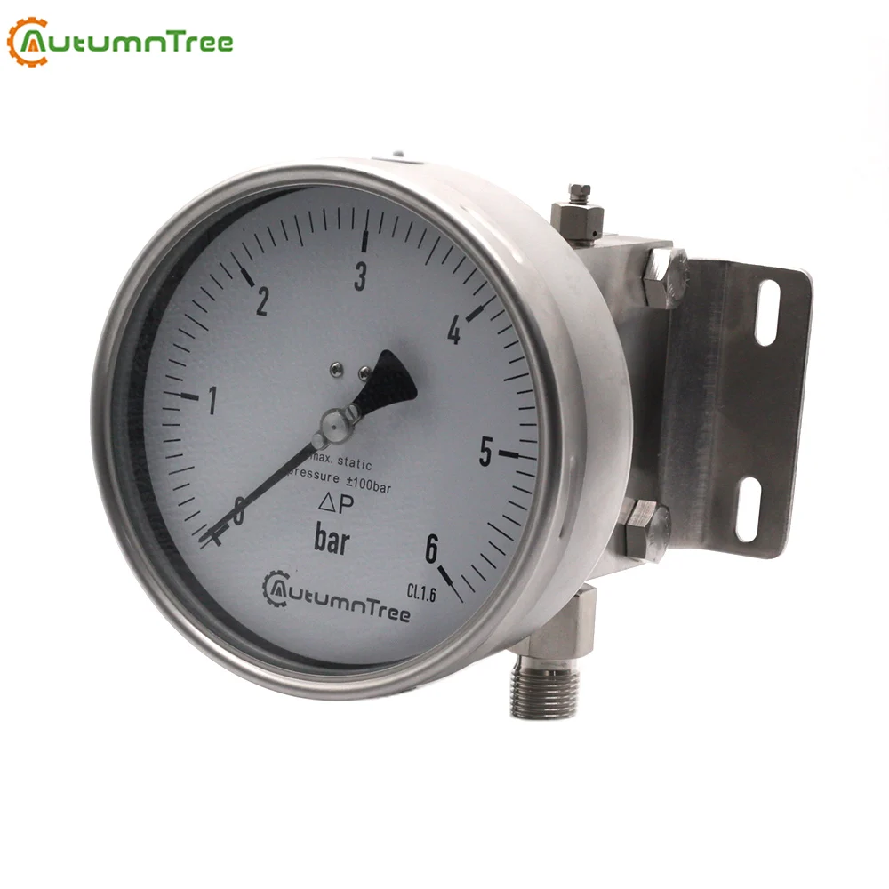 SS316 Wetted Parts 10Bar Pressure Gauge Differential Pressure Gauge for Filters