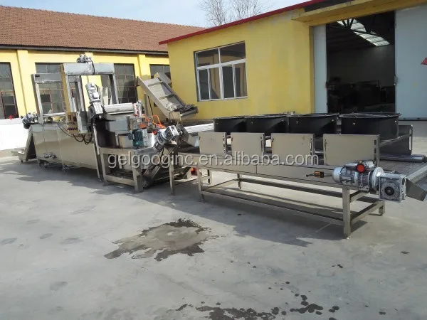 Industrial Gas Chicken Deep Fryer Machine Price