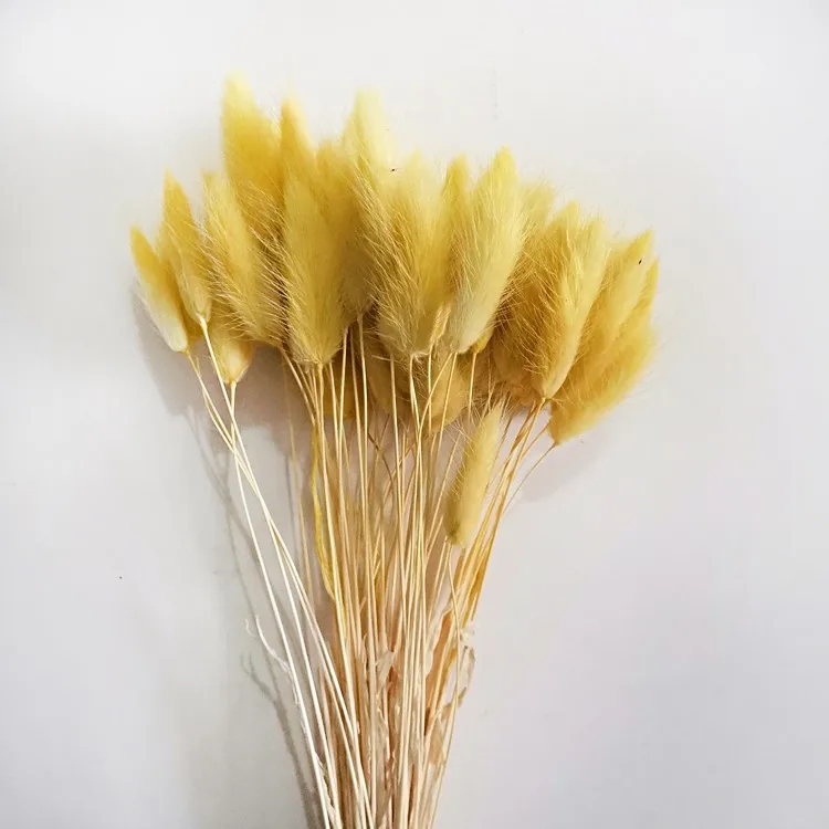 Preserved Eternal Forever Flowers Dried Rabbit Tail Grass Dry Lavender Flower Grass For Decoration