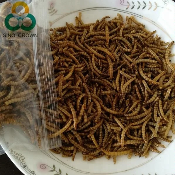 
Dried Mealworms For Poultry Feed Insect Feed Fish Use Mealworms Feed 