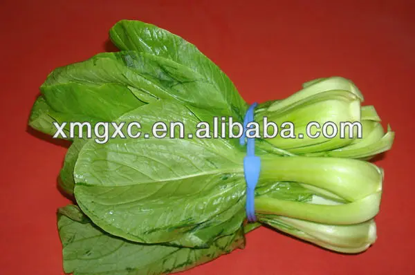 2013 новая конструкция силиконовые ремни