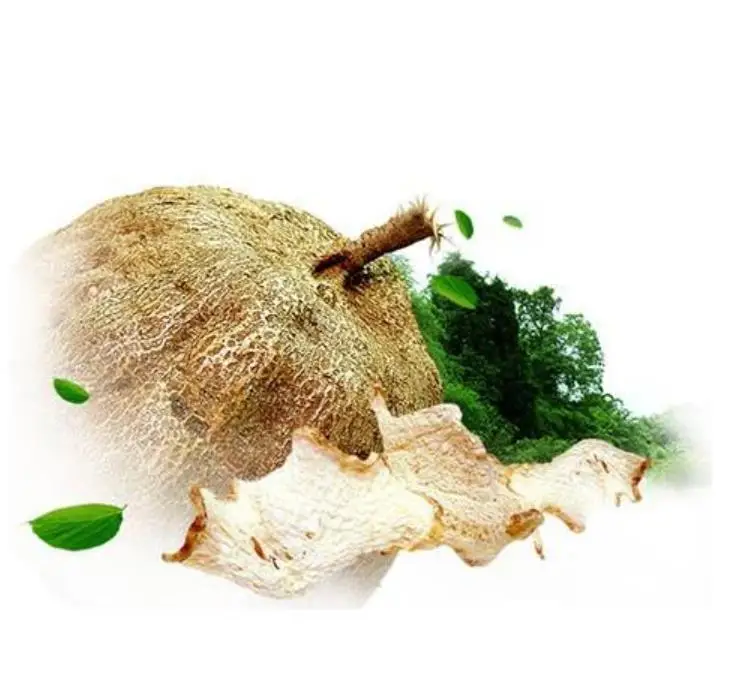 Hotsale raw dried kwao krua root slices kwao kreu for tea