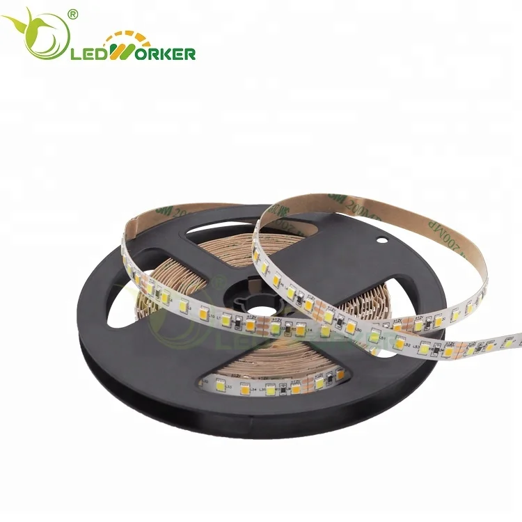 Best Price 3 Volt Led Strip Lighting 240 Leds/m 2 Row 60 Inch SMD2835 RGBW Led Stripe Lights