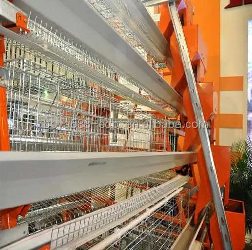 
Горячая окунутая гальванизация яйцо куриное яйцо слой курица Клетка батарей 