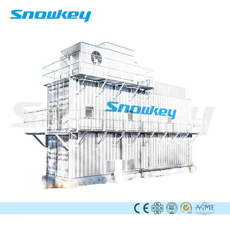 
Snowkey All-season Snow Making Machine 