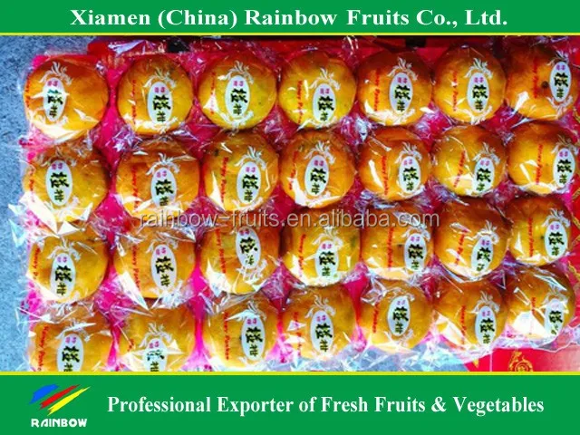 
fresh citrus/fresh mandarin/chinese lokam/honey mandarin 