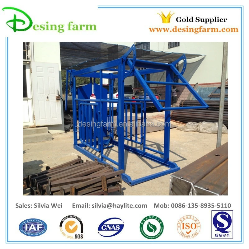 livestock equipment cattle cow dairy squeeze chute crush crate with weighing scale