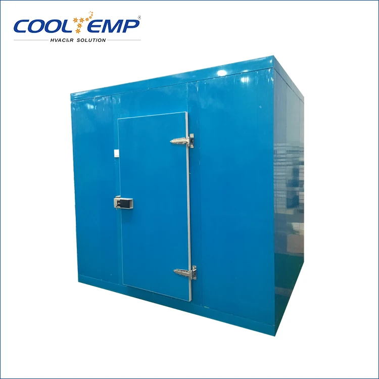 Pu Panel Cold Storage Room With Swing Door