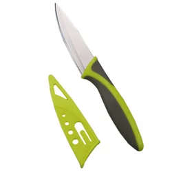Plastic handle Cheap Fruit knife kitchen knife