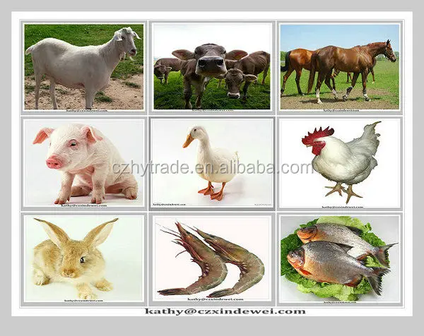 Корм для рыб Аттрактант бетаина гидрохлорид 98% мин с украшением в виде кристаллов