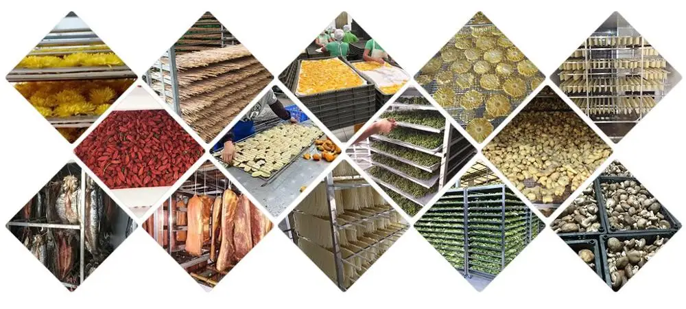 
Centrifugal dryer machine food industrial vacuum drier freeze dryer 