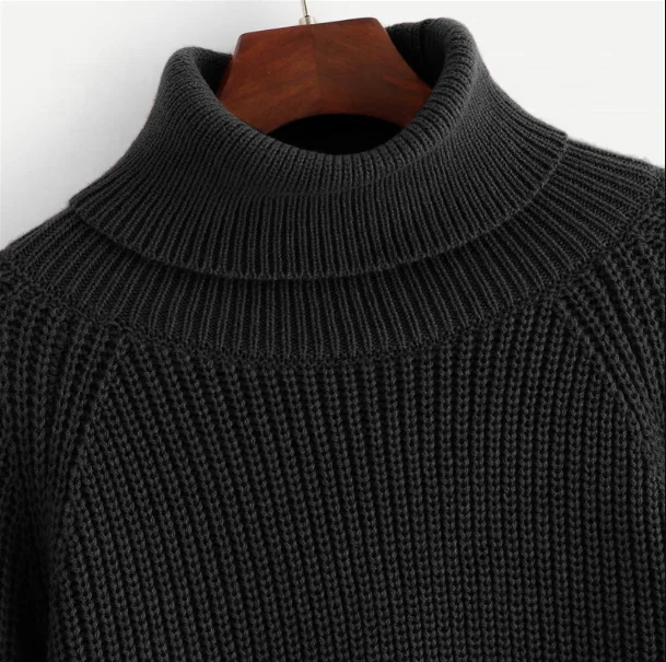 
Turtleneck Raglan Sleeve Jumper Fall Winter Tops For Womens Knitted Sweater 