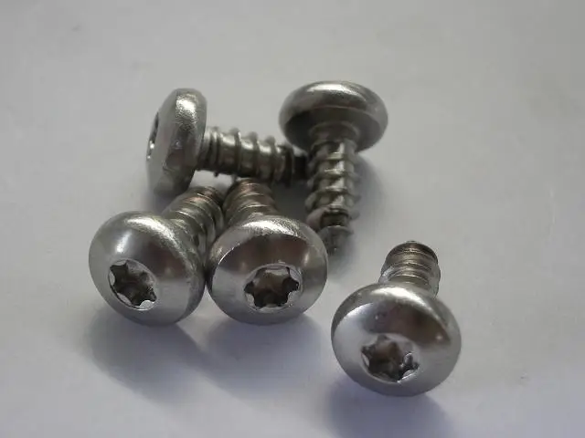 SS304/316 pan head torx screws
