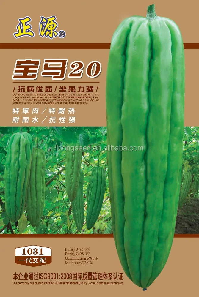 Продажа семена дыни горькая тыква дыня гибридные семена