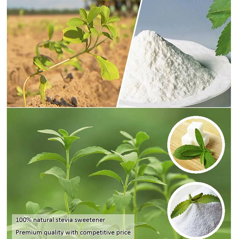
KP organic stevia ra99%,made in china stevia 