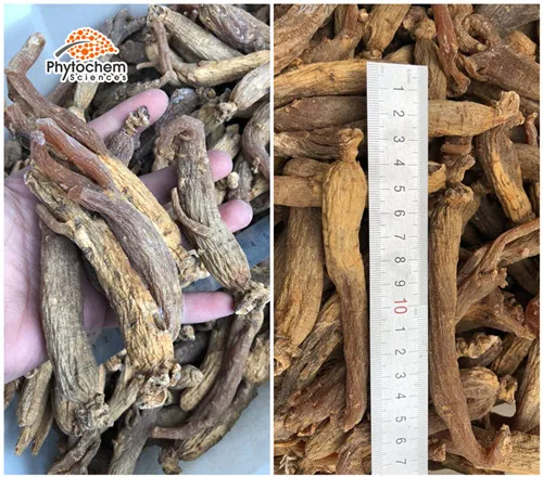 top grade korean red ginseng extract / korea 5%- 80% ginsenosides korean red ginseng extract