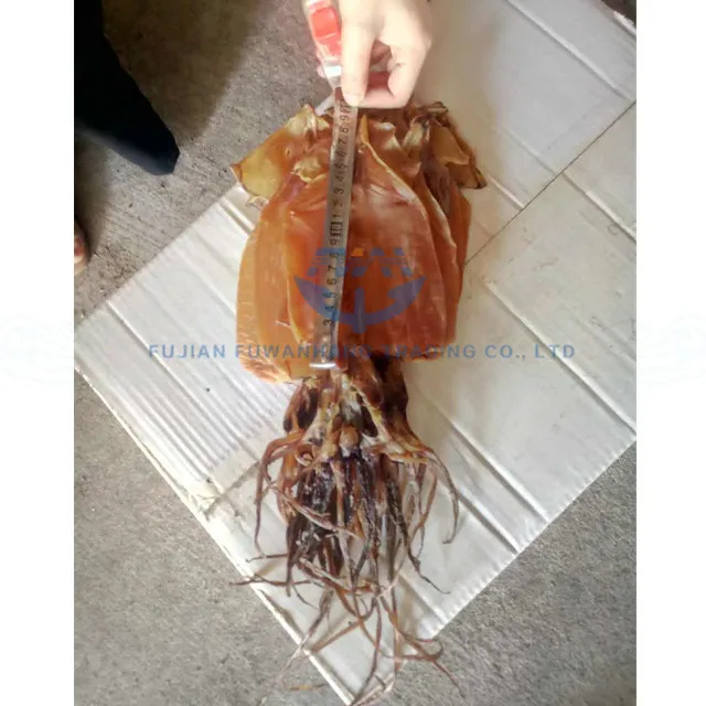 
Dry process dried giant squid 
