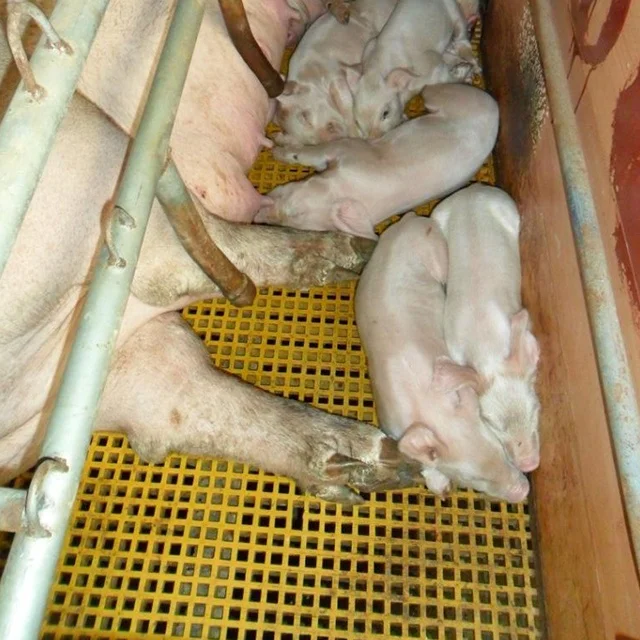 Легкая стекловолоконная сетка для животных