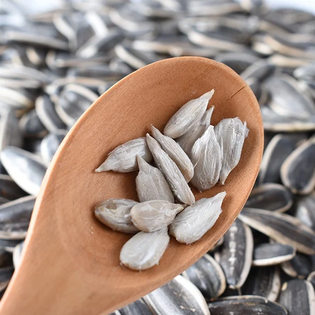 HIGH QUALITY Factory price Chinese raw Sunflower Seeds for good quality At Best Price