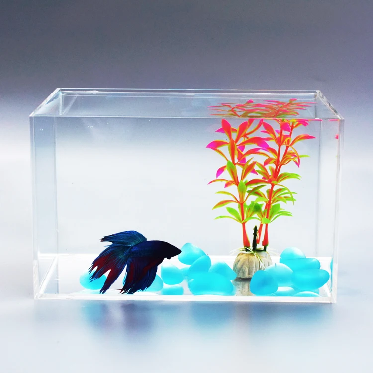 
personalized acrylic mini fish tank 5 sides clear transparent plexi water containers 