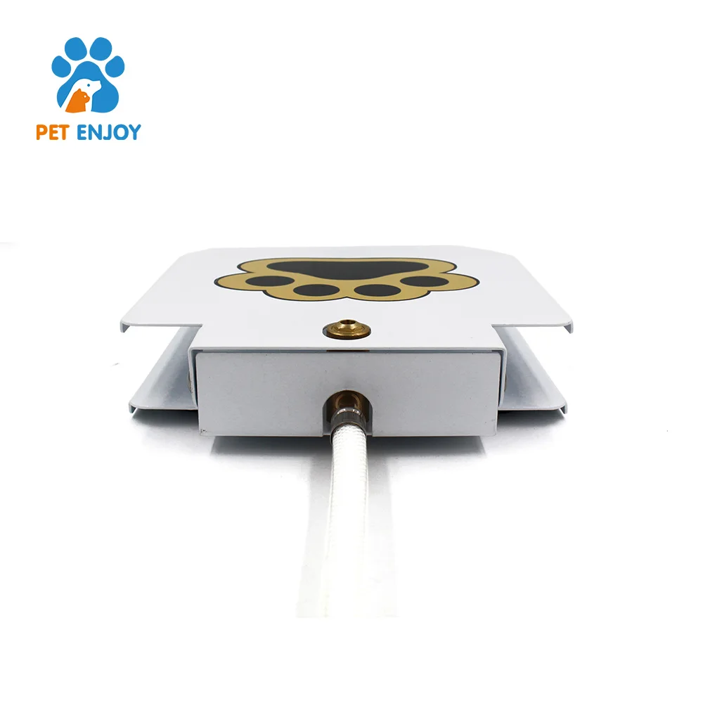 New product ideas 2019 paw activated make automatic pet feeder dog drinking fountain Auto pet feeder