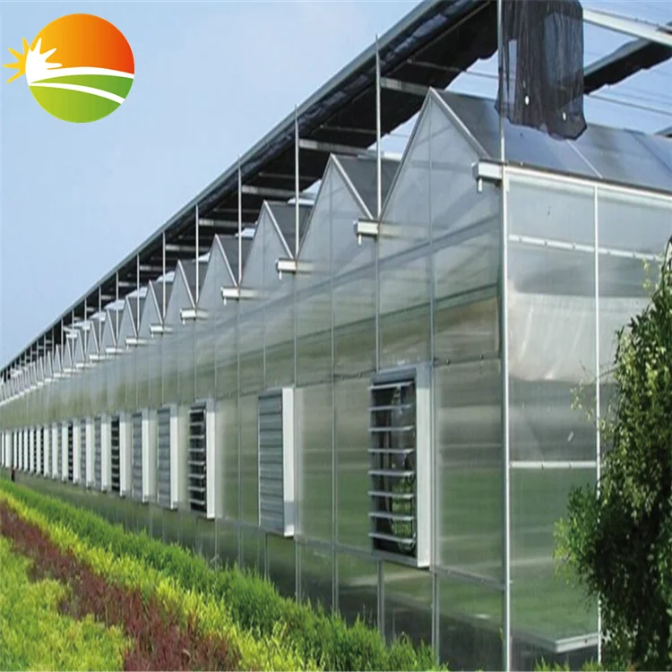 UV Polycarbonate PC sheet Hot-Galvanizing pipe Multi-Span Greenhouse