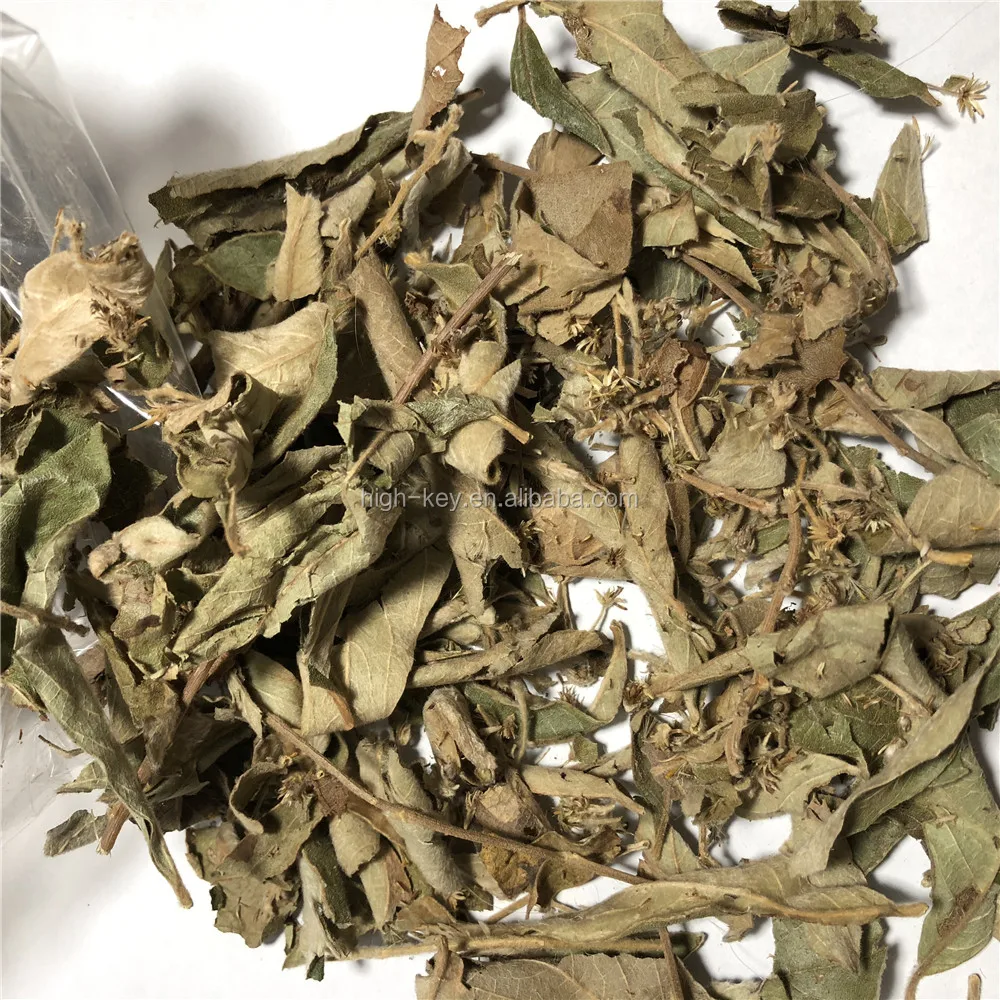 
5046 Yang er ju Hot Selling Natural Herbs Dried Leaves Inula Cappa 