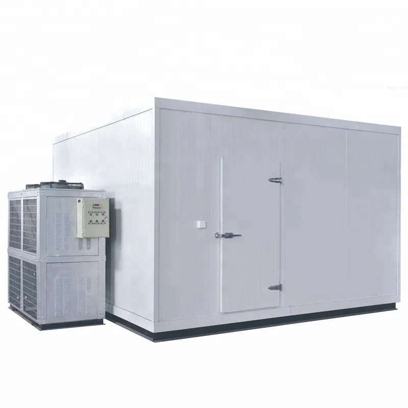 fast freezer cheaper cost small banana warehouse