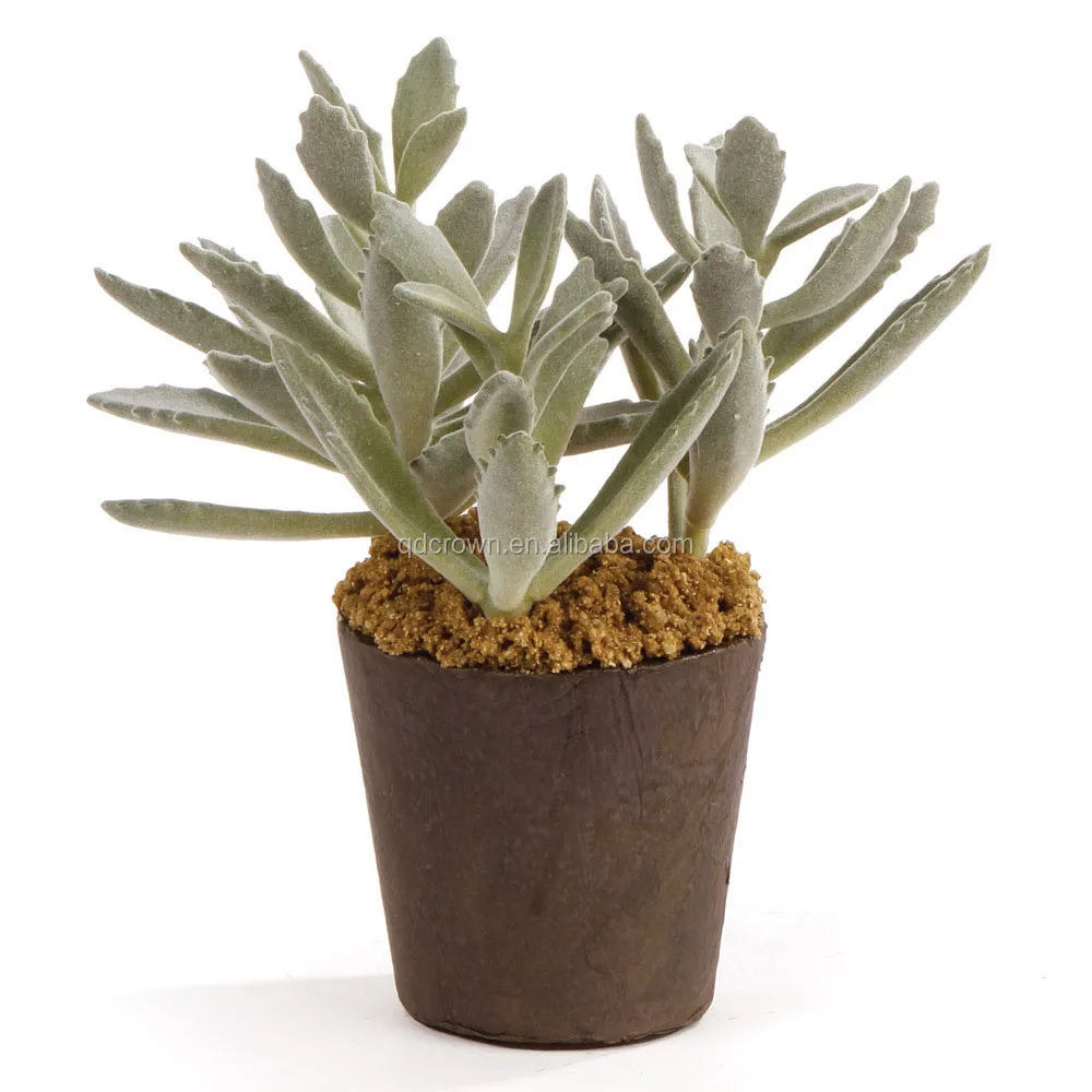 Factory artificial plants for decoration plant arrangement small succulents planter pots potted bonsai mini hanging succulent