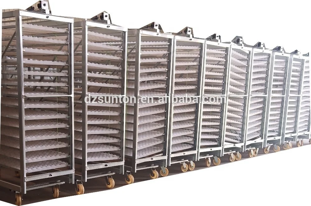 19000 eggs solar energy egg incubators sales in Dezhou