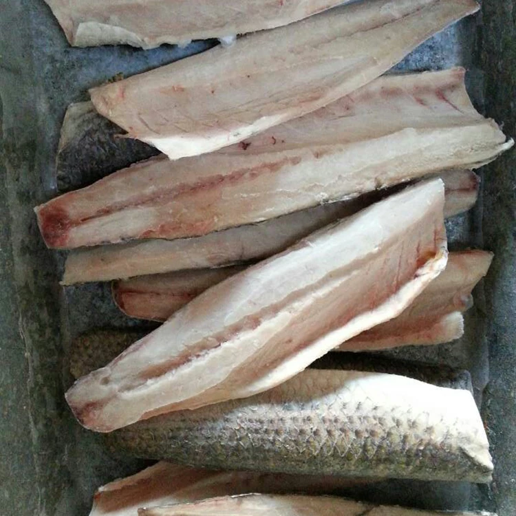 
2019 high quality fresh frozen grey mullet fillet frozen grey mullet fish grey mullet fillet 
