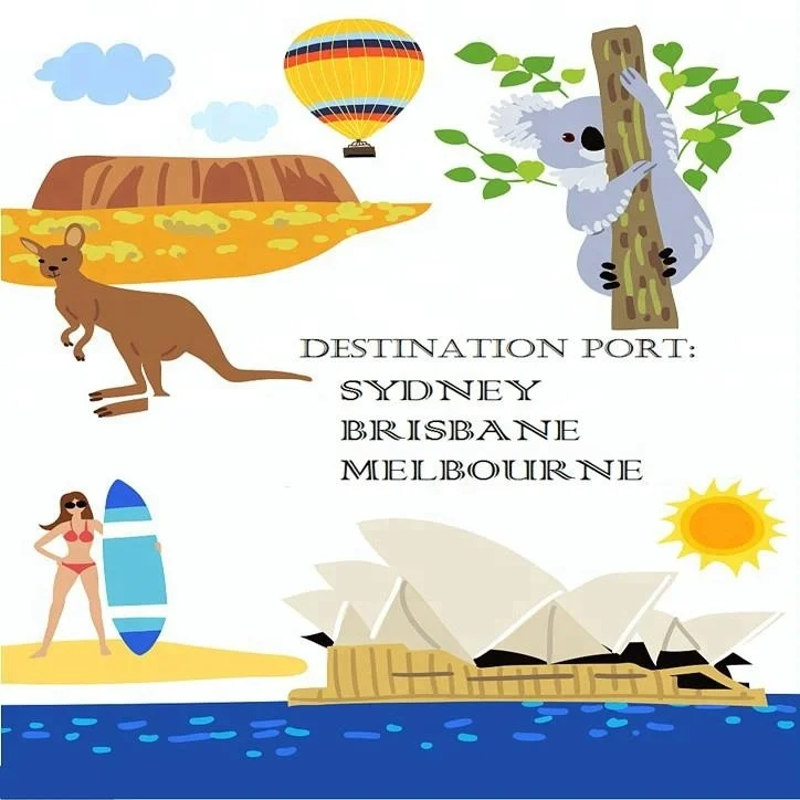 
container shipping from China to Australia shipping agent 