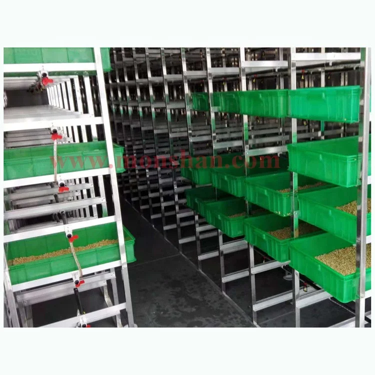 Container Farm Hydroponic Forage Sprout Chamber For Cow