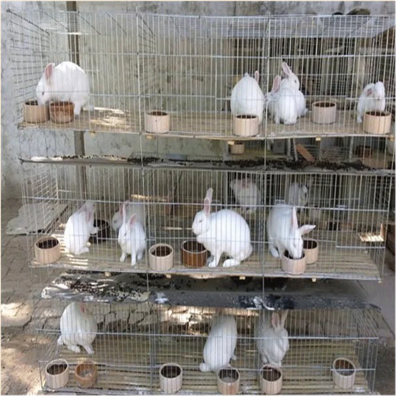 Metal cheap commercial wholesale rabbit cage breeding