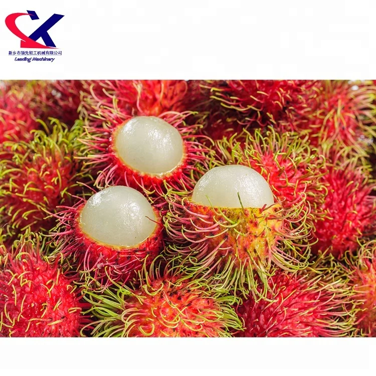 1 t/h Automatic Rambutan Peel Separator Rambutan Shelling Machine
