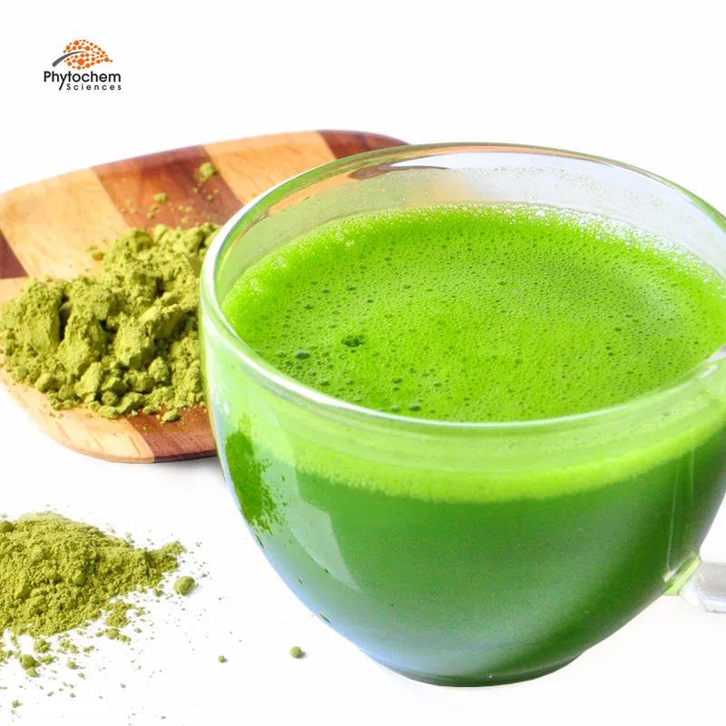 water soluble organic celery juice powder