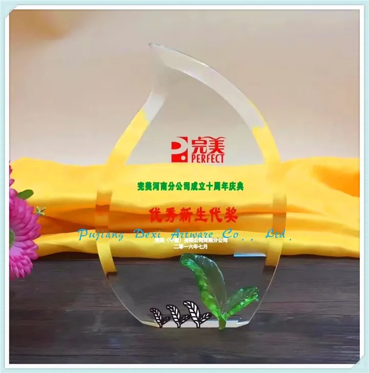 Custom crystal trophy and crystal crafts cheap glass trophy Beautiful Glass Medal Award