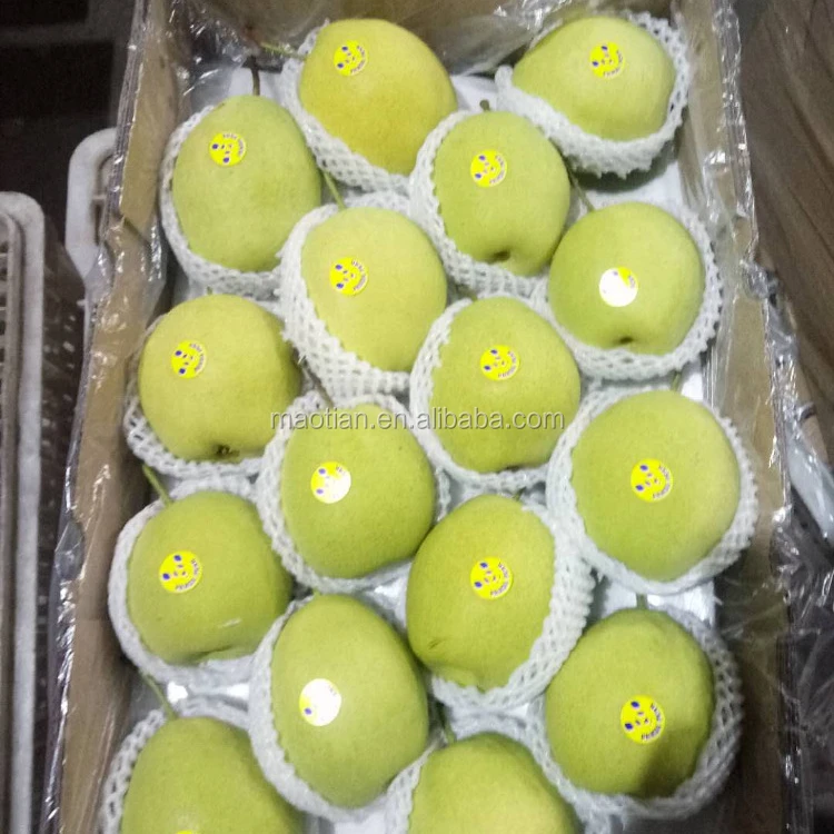 
Shandong Pear 
