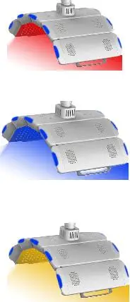 High power Photon led skin rejuvenation  Red Blue light infrared therapy device on sale