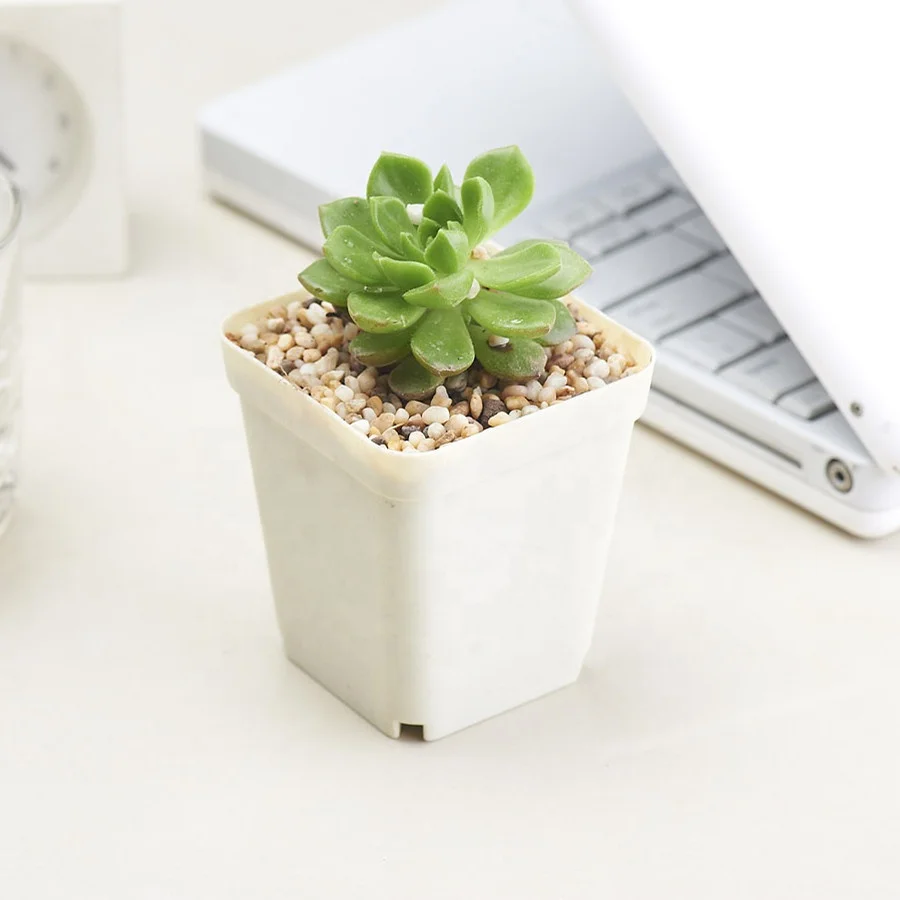 Colorful Square Plastic Plant Pot